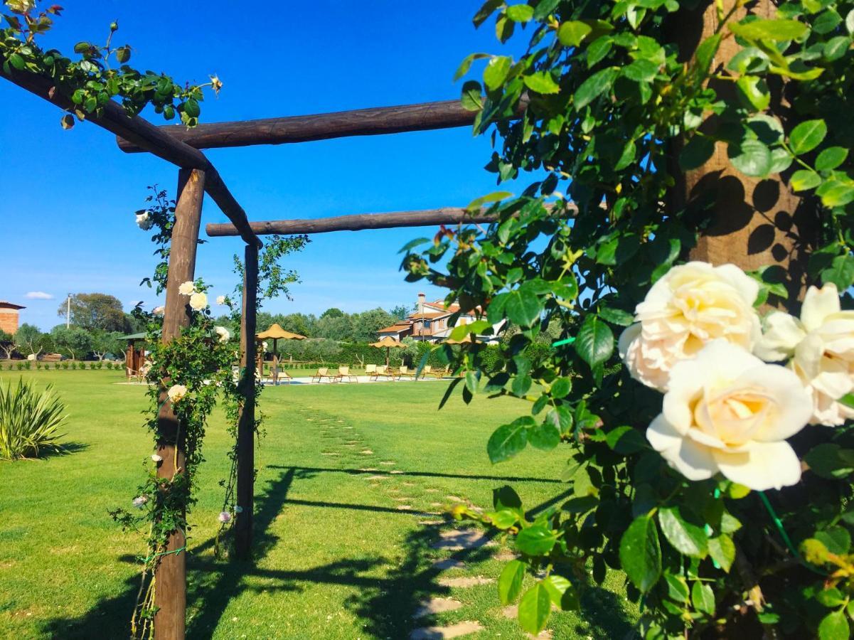 Bed & Breakfast Casale La Rovere Montalto di Castro